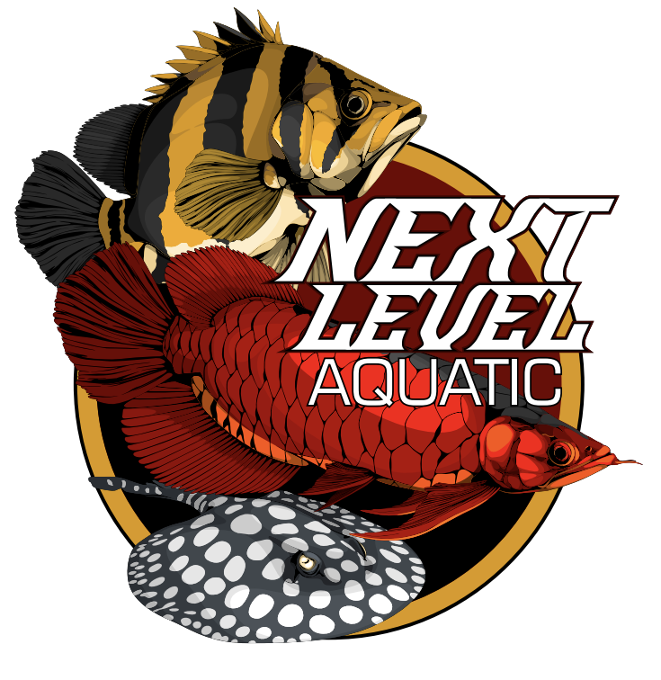 Blue Ribbon Aquatic